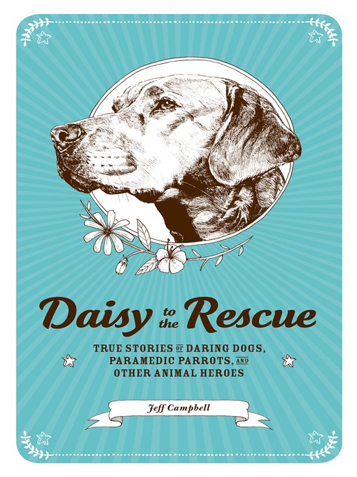 Title details for Daisy to the Rescue by Jeff  Campbell - Available